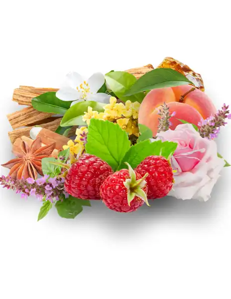 Lush Oasis Clean Fragrance - Clean Fragrances